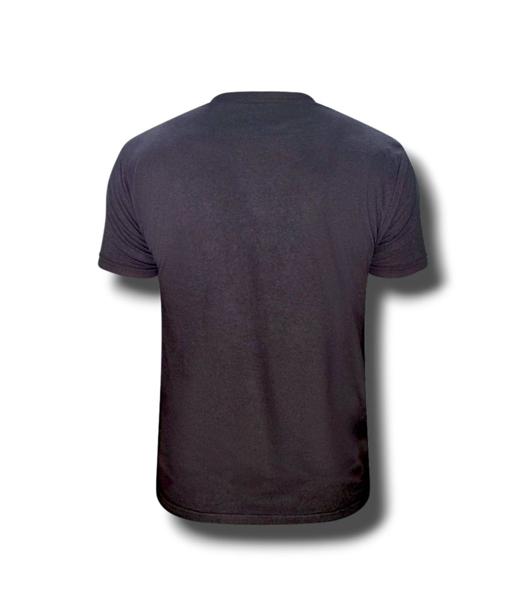 Baby blue signature tee shirt back view